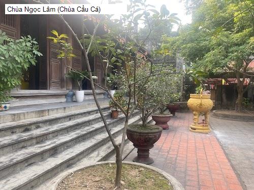 chua ngoc lam (chua cau ca)