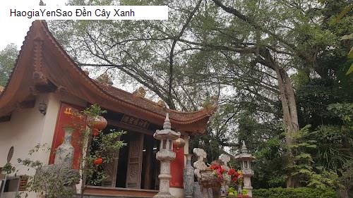 den cay xanh