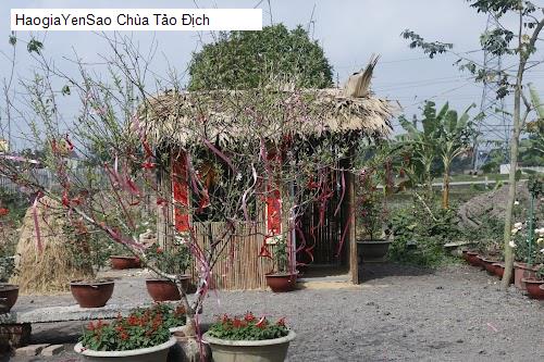chua tao dich
