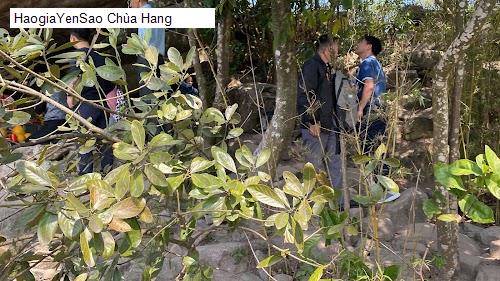 chua hang