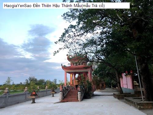 den thien hau thanh mau(mau tra co)