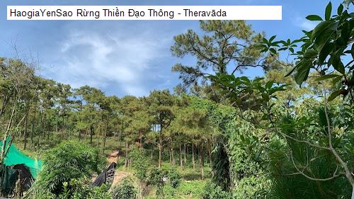 rung thien dao thong - theravāda