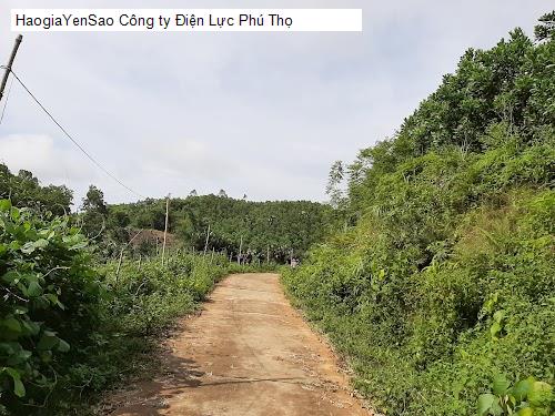 cong ty dien luc phu tho