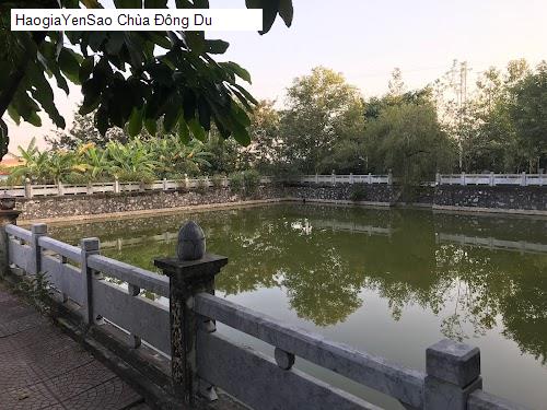 chua dong du