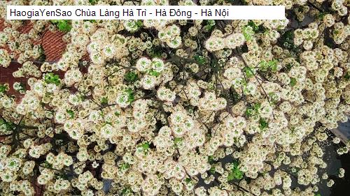 chua lang ha tri - ha dong - ha noi