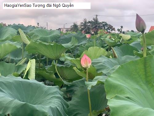 tuọng dài ngo quyèn