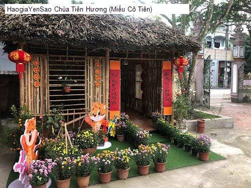 chua tien huong (mieu co tien)