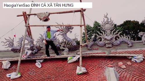 dinh ca xa tan hung