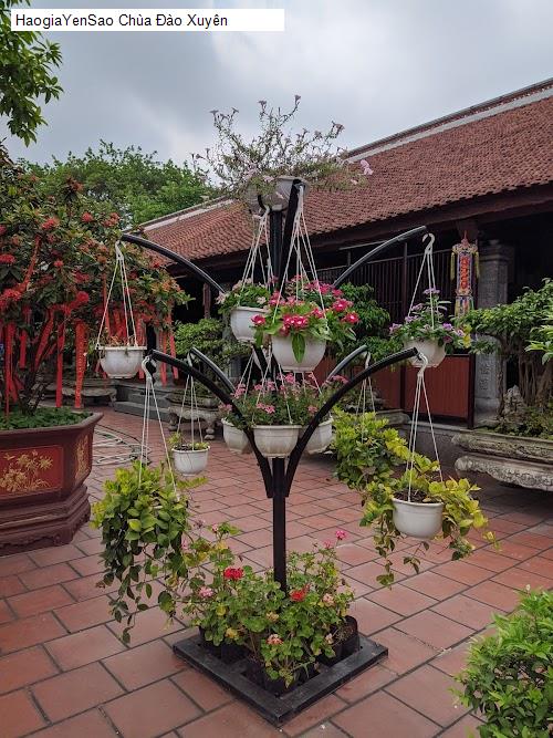 chua dao xuyen