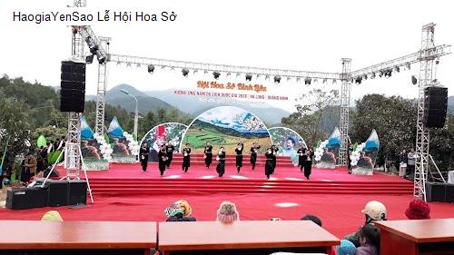 le hoi hoa so