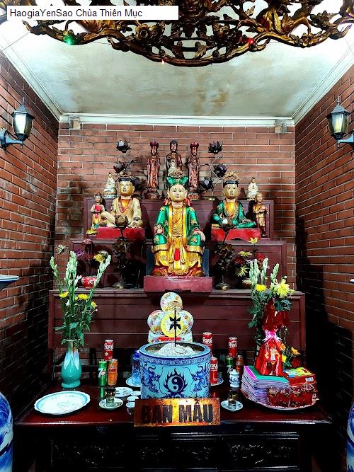 chua thien muc