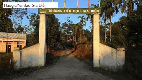 gia dien