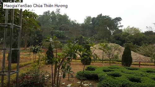chua thien huong