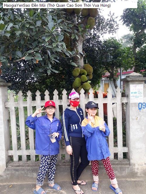 den mui (tho quan cao son thoi vua hung)