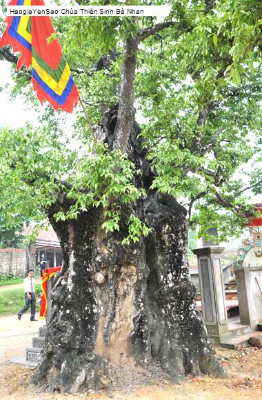 chua thien sinh ba nhan