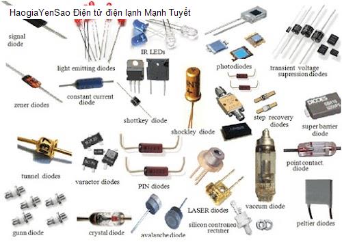 dien tu dien lanh manh tuyet