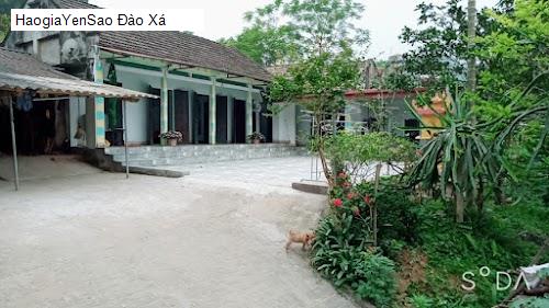 dao xa