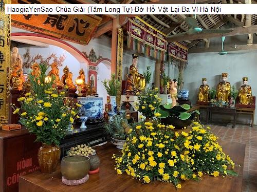 chua giai (tam long tu)-bo ho vat lai-ba vi-ha noi