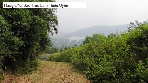 truc lam thien uyen
