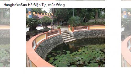 ho diep tu, chua dong