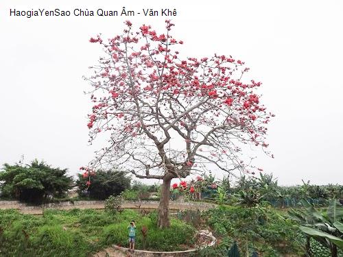 Top 6 Chùa và địa chỉ tâm linh nổi tiếng tại tại Xã Tam Hưng, Thành phố Hà Nội (2026)