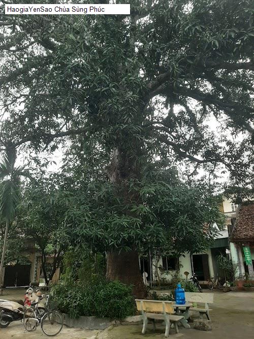 Top 5 Chùa và địa chỉ tâm linh nổi tiếng tại tại Xã Dân Hòa, Thành phố Hà Nội (2026)