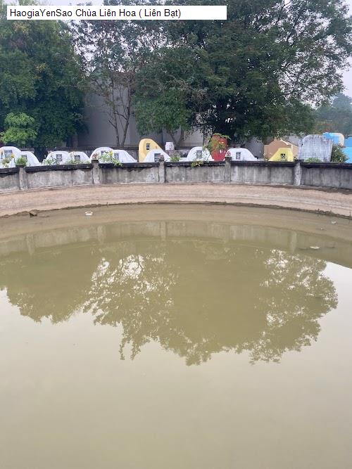 chua lien hoa ( lien bat)