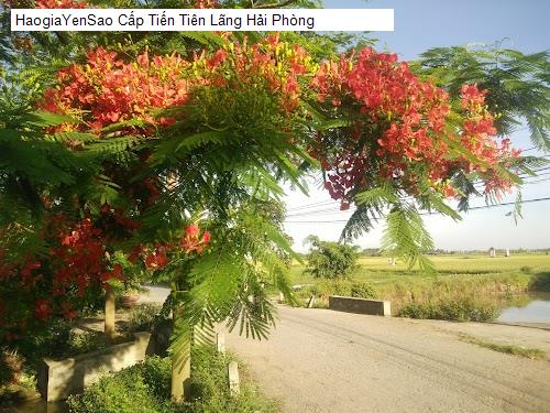 cap tien tien lang hai phong