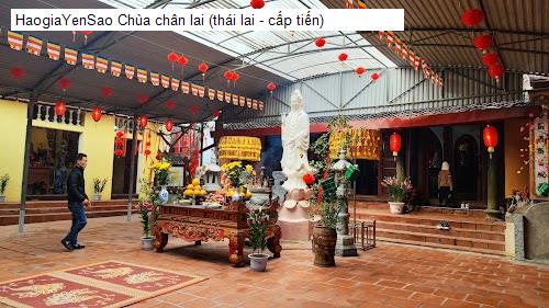 chua chan lai (thai lai - cap tien)