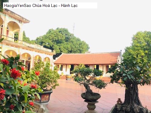 chua hoa lac - hanh lac