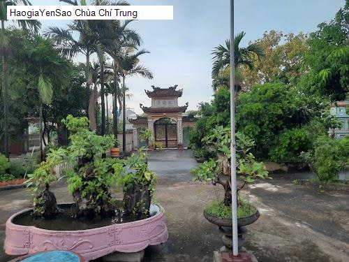 chua chi trung