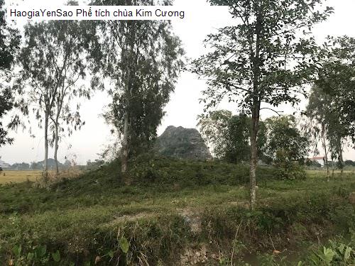 phe tich chua kim cuong