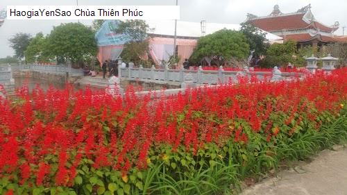 chua thien phuc