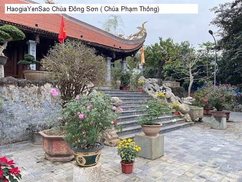 chua dong son ( chua pham thong)