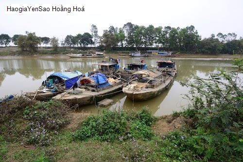 hoang hoa