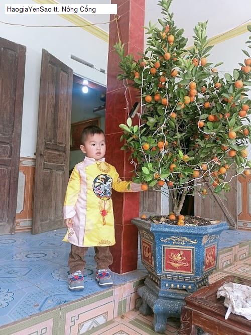 tt. nong cong