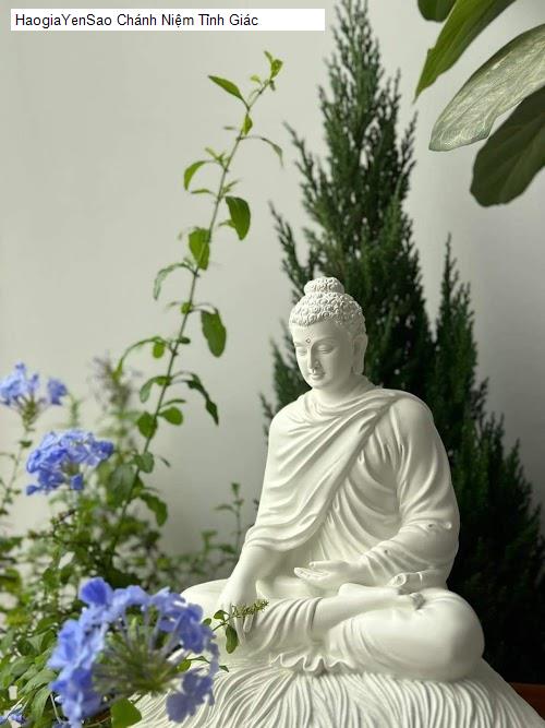 chanh niem tinh giac