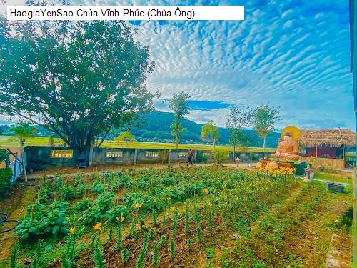 chua vinh phuc (chua ong)