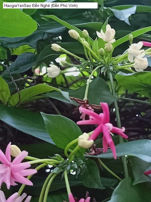 den nghe (den phu vinh)