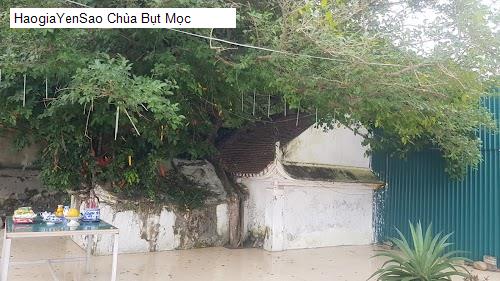 chua but moc