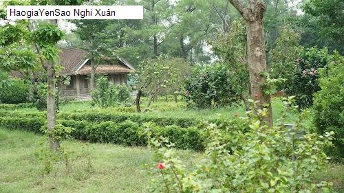nghi xuan