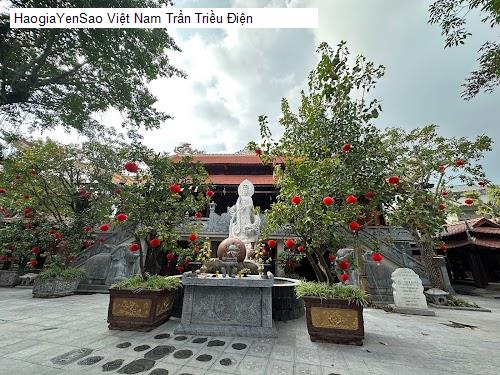 viet nam tran trieu dien