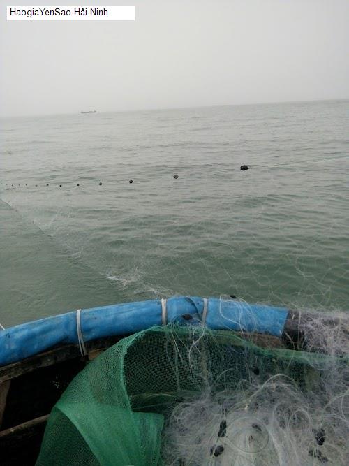 hải ninh