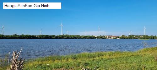 gia ninh