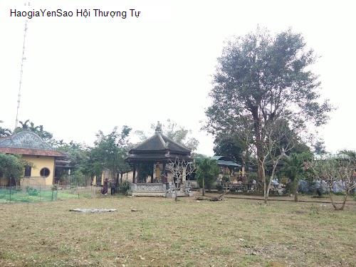 hoi thuong tu
