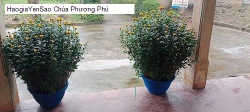 chua phuong phu