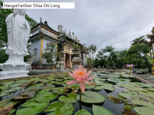chua chi long