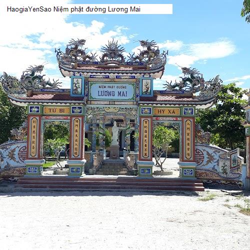 niem phat duong luong mai