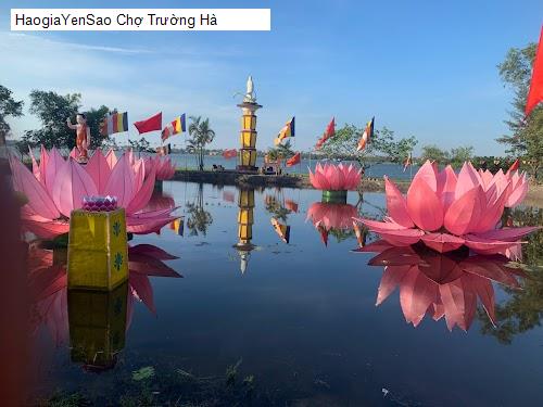 cho truong ha