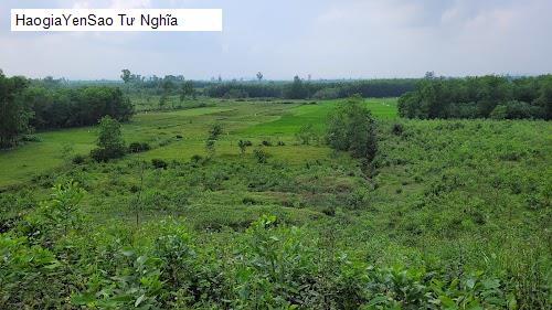 tu nghia